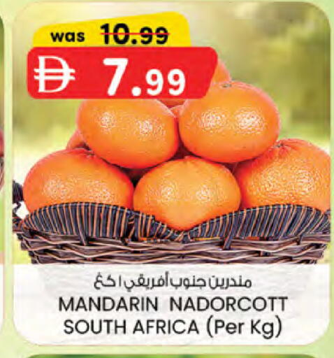 Mandarin from South Africa available at ك. الم. للتجارة in الإمارات العربية المتحدة , الامارات - دبي