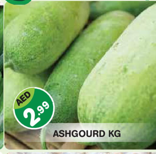 available at سنابل بني ياس in الإمارات العربية المتحدة , الامارات - أبو ظبي