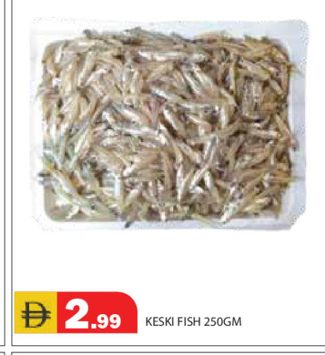 available at سنابل بني ياس in الإمارات العربية المتحدة , الامارات - رَأْس ٱلْخَيْمَة