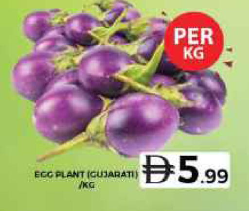 available at جراند هايبر ماركت in الإمارات العربية المتحدة , الامارات - الشارقة / عجمان