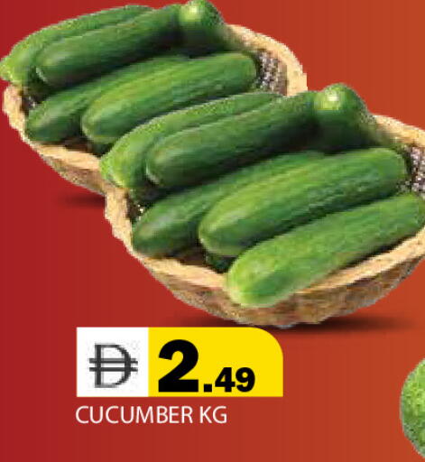Cucumber available at Baniyas Spike  in UAE - Ras al Khaimah