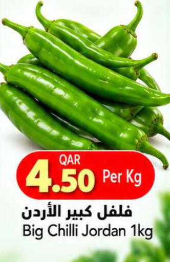 Chilli from Jordan available at جلف فود سنتر in قطر - الشمال