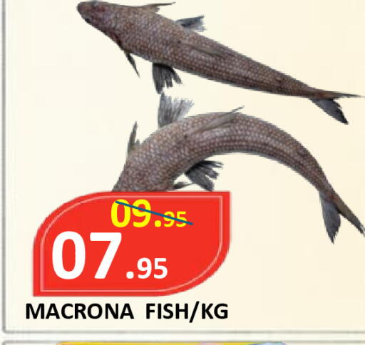 available at ROYAL GULF HYPERMARKET LLC in UAE - Abu Dhabi