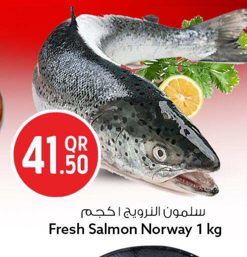 available at سفاري هايبر ماركت in قطر - الشمال