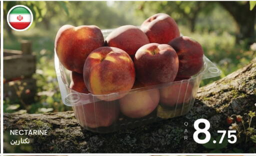 Nectarine available at البلدي اليوم in قطر - الريان