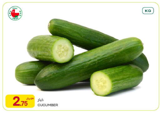 Cucumber from Oman available at شركة الميرة للمواد الاستهلاكية in قطر - الريان