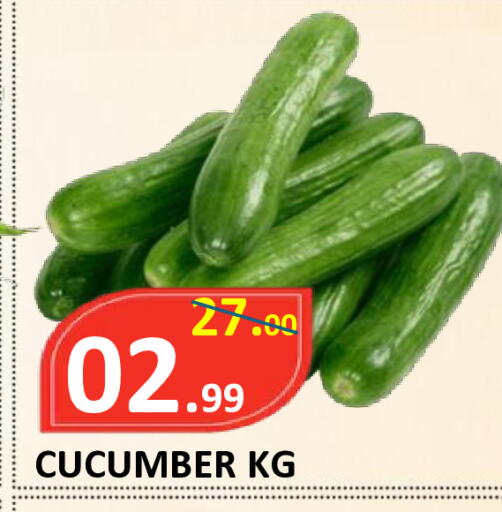 Cucumber available at ROYAL GULF HYPERMARKET LLC in UAE - Abu Dhabi