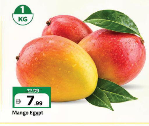Mango from Egypt available at Mark & Save in UAE - Dubai