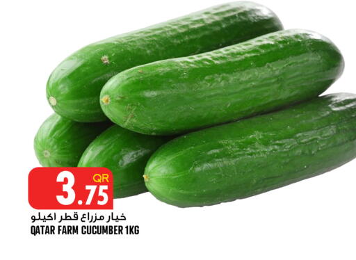 Cucumber from Qatar available at قصر الأغذية هايبرماركت in قطر - أم صلال
