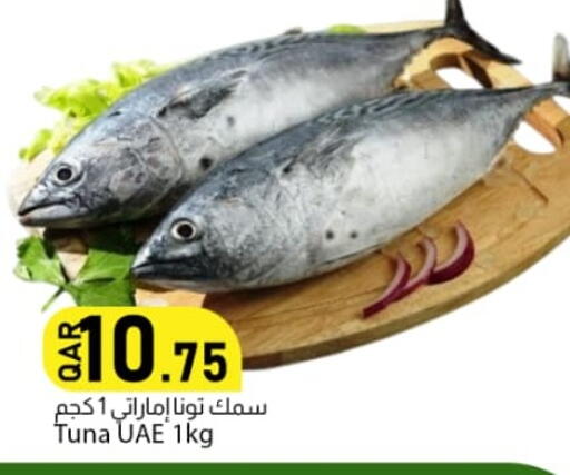available at دانا ماركت in قطر - الريان