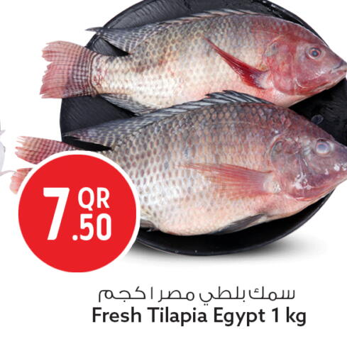 available at سفاري هايبر ماركت in قطر - الشمال