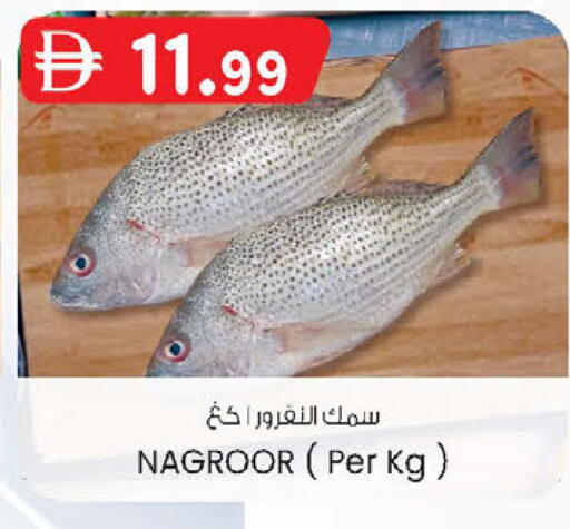 available at ك. إم. هايبرماركت in الإمارات العربية المتحدة , الامارات - ٱلْعَيْن‎