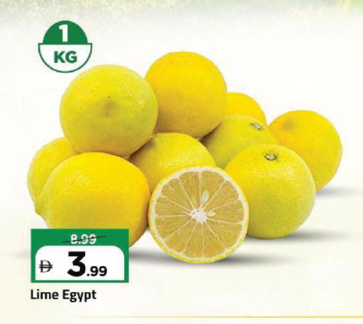 from Egypt available at Mark & Save in UAE - Sharjah / Ajman
