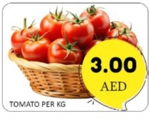 Tomato available at GREEN GIFT DEPARTMENT STORE in UAE - Abu Dhabi