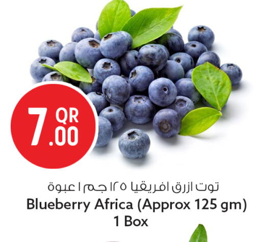 Blueberry BlueBerry available at سفاري هايبر ماركت in قطر - الشمال