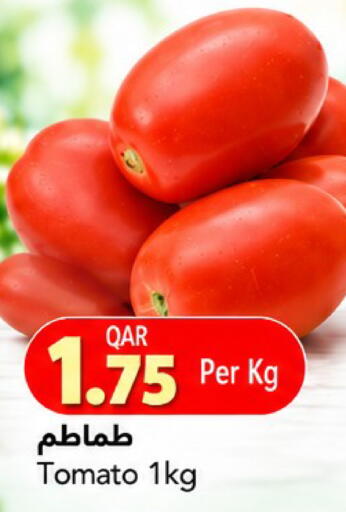 Tomato available at جلف فود سنتر in قطر - الريان