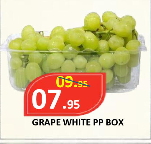 available at ROYAL GULF HYPERMARKET LLC in UAE - Abu Dhabi