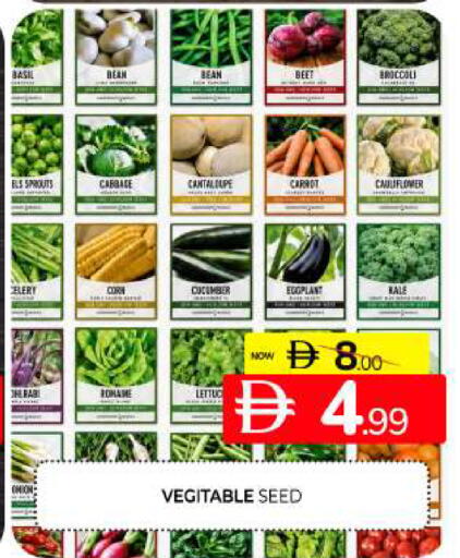 Cantaloupe Broccoli Cauliflower Cucumber Eggplant Kale Onion available at Al Madina  in UAE - Sharjah / Ajman