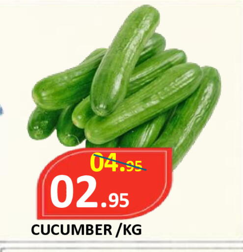 Cucumber available at ROYAL GULF HYPERMARKET LLC in UAE - Abu Dhabi