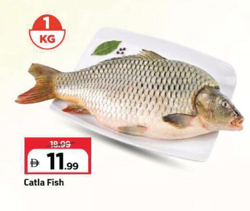 available at Mark & Save in UAE - Sharjah / Ajman