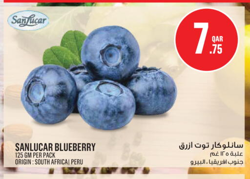 Blueberry BlueBerry from South Africa available at مونوبريكس in قطر - الريان