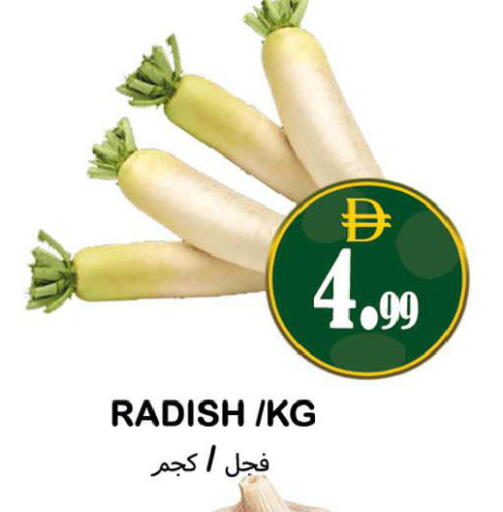 Radish available at سوق المبارك هايبرماركت in الإمارات العربية المتحدة , الامارات - الشارقة / عجمان