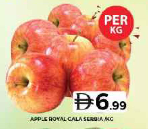 Apple from Serbia available at جراند هايبر ماركت in الإمارات العربية المتحدة , الامارات - الشارقة / عجمان