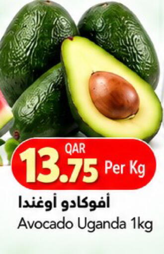 Avocado from Uganda available at Gulf Food Center in Qatar - Doha