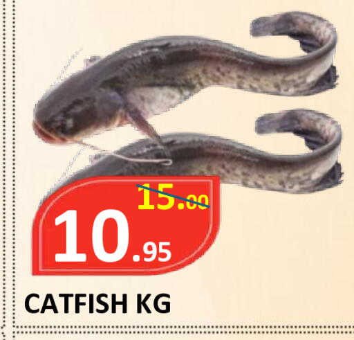 available at ROYAL GULF HYPERMARKET LLC in UAE - Abu Dhabi