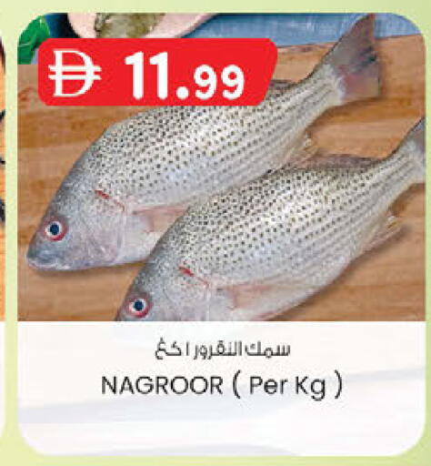 available at ك. إم. هايبرماركت in الإمارات العربية المتحدة , الامارات - الشارقة / عجمان
