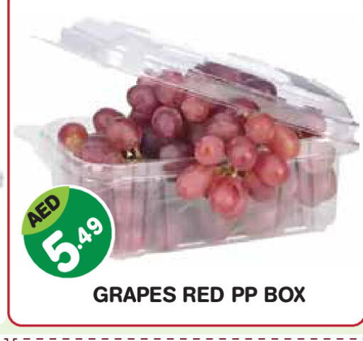 Grapes available at سنابل بني ياس in الإمارات العربية المتحدة , الامارات - أبو ظبي
