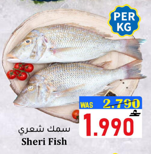available at Al Qoot Hypermarket in Oman - Muscat