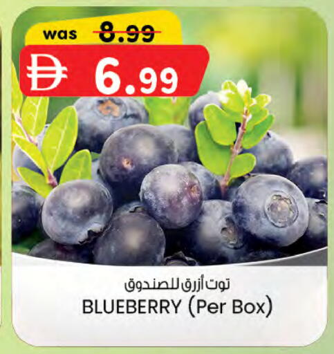 Blueberry BlueBerry available at K M Trading  in UAE - Sharjah / Ajman