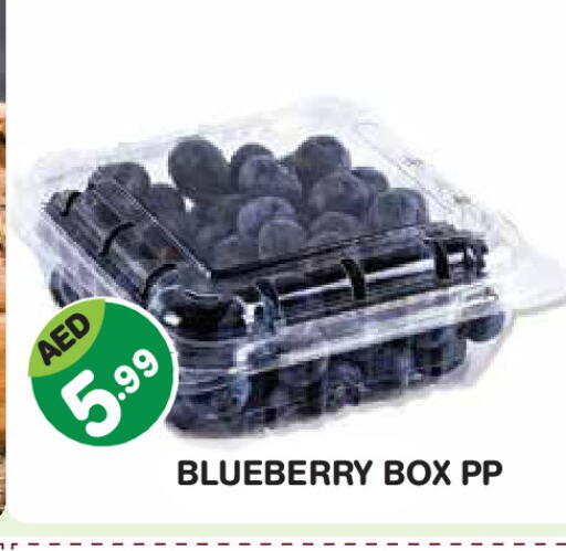 Blueberry BlueBerry available at سنابل بني ياس in الإمارات العربية المتحدة , الامارات - أبو ظبي