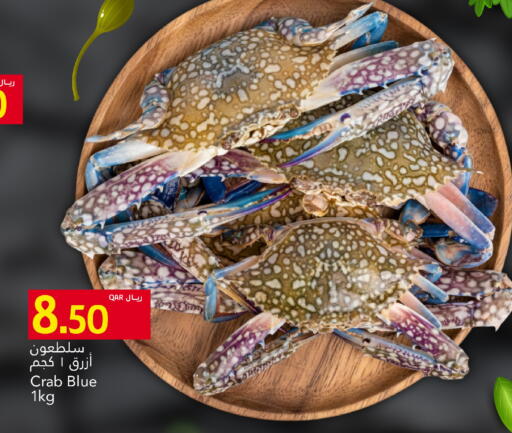 available at جلف فود سنتر in قطر - الريان