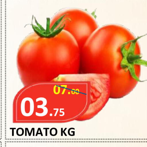 Tomato available at ROYAL GULF HYPERMARKET LLC in UAE - Abu Dhabi