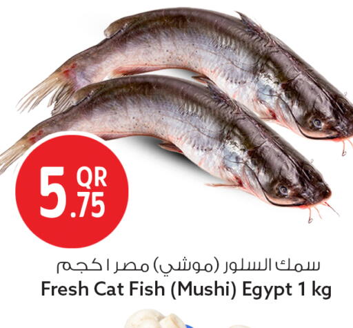 available at سفاري هايبر ماركت in قطر - الشمال