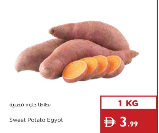 Sweet Potato from Egypt available at إسطنبول سوبرماركت in الإمارات العربية المتحدة , الامارات - دبي