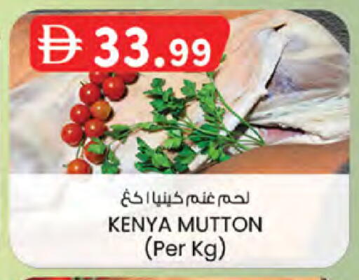 available at الصفا in الإمارات العربية المتحدة , الامارات - ٱلْعَيْن‎