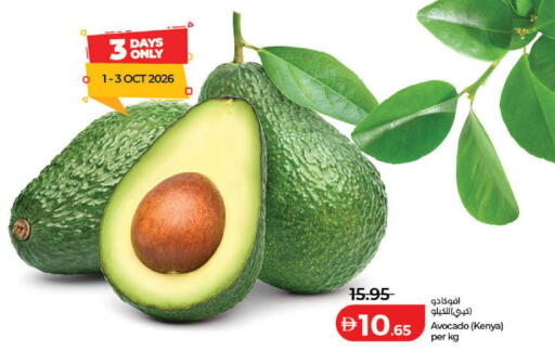 Avocado from Kenya available at لولو هايبرماركت in الإمارات العربية المتحدة , الامارات - دبي