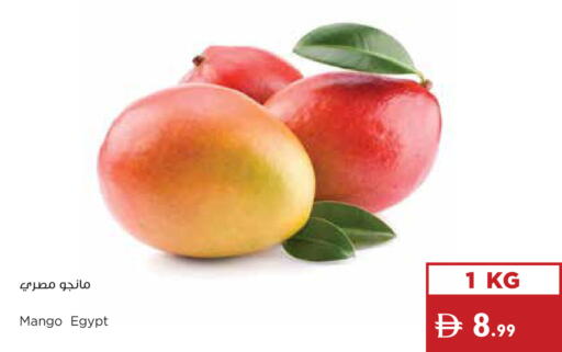 Mango from Egypt available at إسطنبول سوبرماركت in الإمارات العربية المتحدة , الامارات - دبي