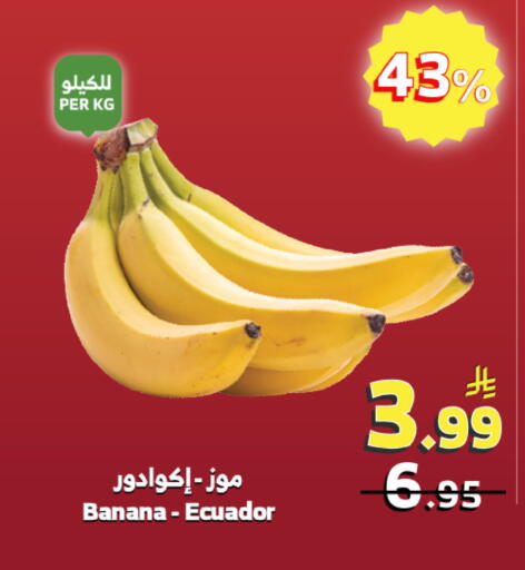 Banana from Ecuador available at الراية in مملكة العربية السعودية, السعودية, سعودية - جدة