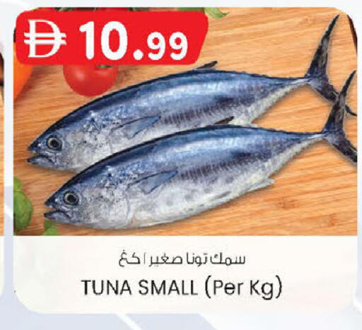 available at ك. إم. هايبرماركت in الإمارات العربية المتحدة , الامارات - ٱلْعَيْن‎