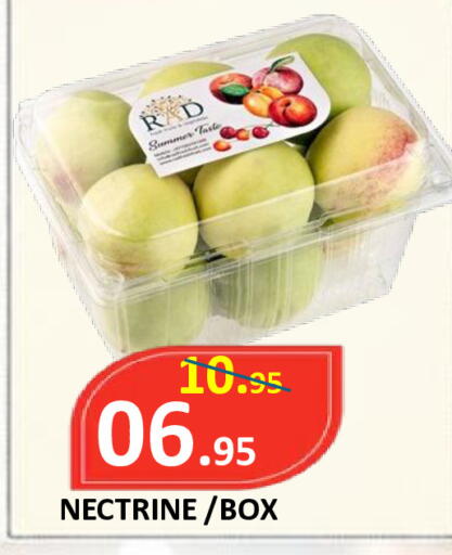 available at ROYAL GULF HYPERMARKET LLC in UAE - Abu Dhabi