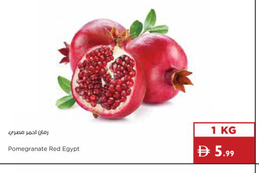 Pomegranate from Egypt available at إسطنبول سوبرماركت in الإمارات العربية المتحدة , الامارات - دبي