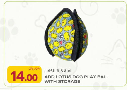 available at شركة الميرة للمواد الاستهلاكية in قطر - الريان