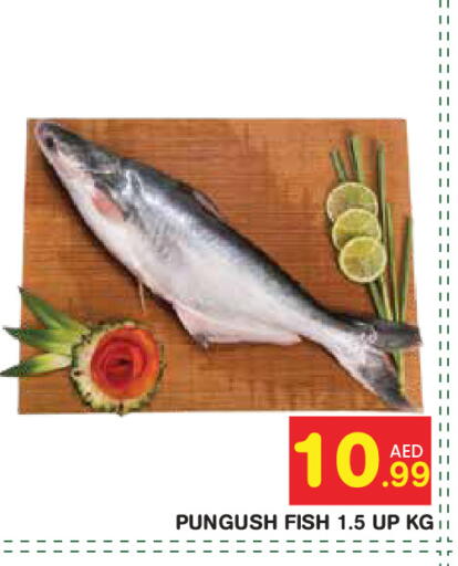available at سنابل بني ياس in الإمارات العربية المتحدة , الامارات - أبو ظبي