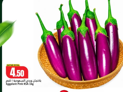 Eggplant from Qatar available at دانة هايبرماركت in قطر - الريان