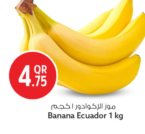 Banana from Ecuador available at سفاري هايبر ماركت in قطر - الشمال