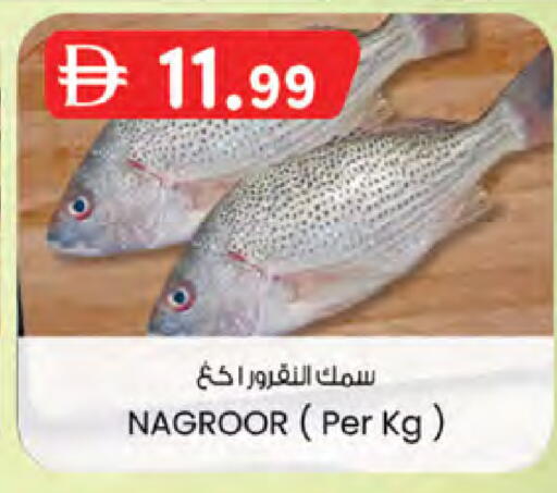 available at ك. الم. للتجارة in الإمارات العربية المتحدة , الامارات - دبي